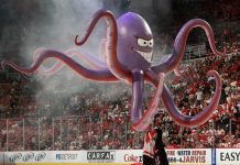 Detroit Red Wings Octopus