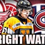 Should the Habs tank the season to improve odds of drafting Shane Wright? Should the Habs tank the NHL season in the hopes of drafting Shane Wright? GM Bergevin could look at trading Jonathan Drouin and Paul Bryon.