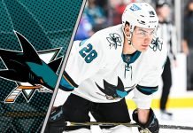 Timo Meier