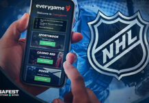 How to Bet on The NHL From EveryGame Sportsbook