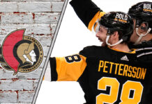 Marcus Pettersson in action for the Pittsburgh Penguins. Will he be traded to the Pittsburgh Penguins?