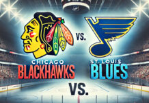 St. Louis Blues vs. Chicago Blackhawks Winter Classic