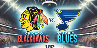 St. Louis Blues vs. Chicago Blackhawks Winter Classic