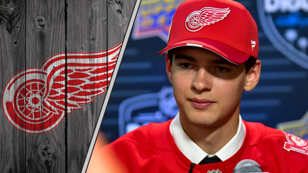 Detroit Red Wings Top 5 Prospects 2025 Edition: Unveiling the Future of ...