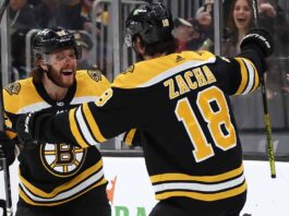 Boston Bruins forward Pavel Zacha (18), with his back to the camera, is embraced by his teammate David Pastrnak (88), who is smiling broadly, as they celebrate a goal near the glass during a game. Cheering fans are visible in the background.