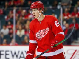 A concept visualization showing Winnipeg Jets defenseman Logan Stanley wearing a red Detroit Red Wings home jersey with number 64, red helmet, and gloves, standing on the ice holding his stick during a game.
