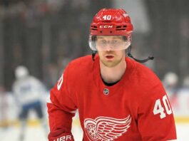 Is Elias Pettersson the Shocking Savior for the Red Wings? A concept illustration showing current Vancouver Canucks center Elias Pettersson on the ice, wearing a red Detroit Red Wings #40 home jersey and helmet, visualizing recent NHL trade rumors linking the superstar to Detroit.