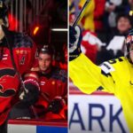 A vertical split-screen photograph comparing top 2026 NHL Draft prospects Carson Carels (left) in his red WHL Prince George Cougars jersey and Ivar Stenberg (right) celebrating a goal in his yellow and blue Team Sweden jersey.