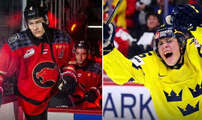 A vertical split-screen photograph comparing top 2026 NHL Draft prospects Carson Carels (left) in his red WHL Prince George Cougars jersey and Ivar Stenberg (right) celebrating a goal in his yellow and blue Team Sweden jersey.