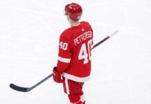 A composite graphic image of Vancouver Canucks center Elias Pettersson in a custom Detroit Red Wings #40 jersey.