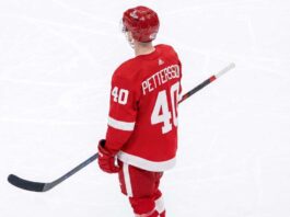 Elias Pettersson Trade Rumors: Detroit Red Wings & Vancouver Canucks A composite graphic image of Vancouver Canucks center Elias Pettersson in a custom Detroit Red Wings #40 jersey.