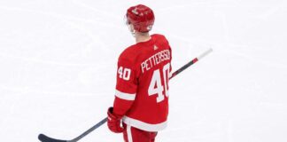 Elias Pettersson Trade Rumors: Detroit Red Wings & Vancouver Canucks A composite graphic image of Vancouver Canucks center Elias Pettersson in a custom Detroit Red Wings #40 jersey.
